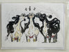 Cow Choir Print Greeting Card