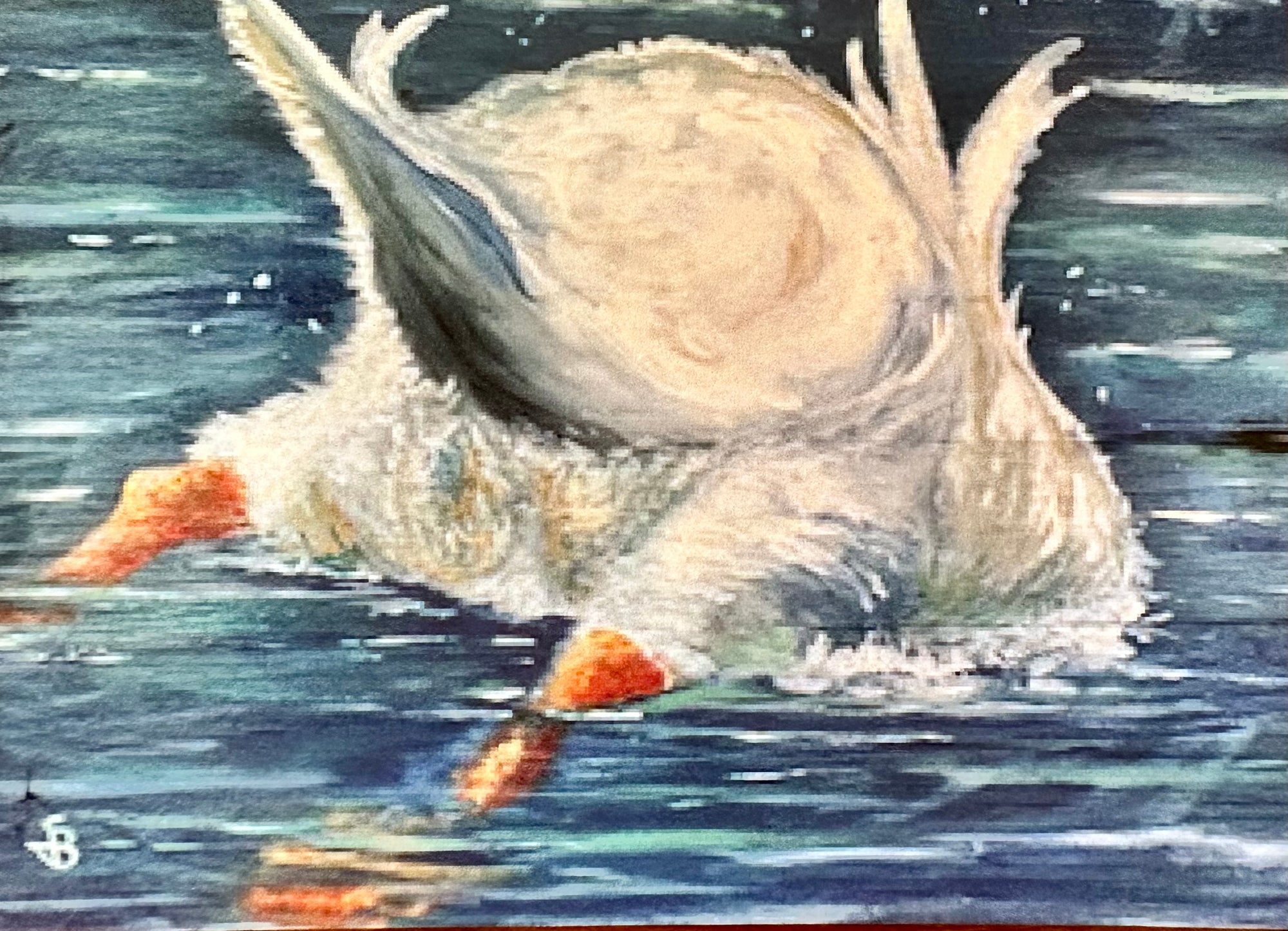 Butt Up Duck Print Greeting Card